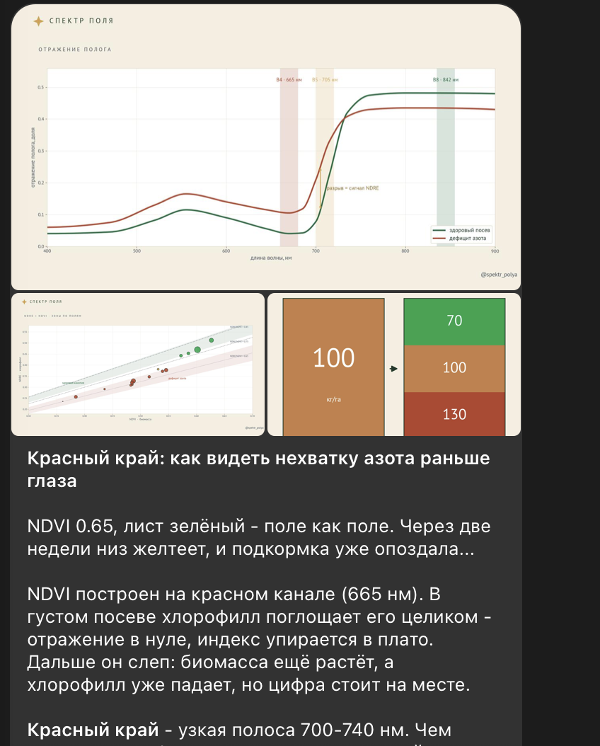 Красный край: как видеть нехватку азота раньше глаза